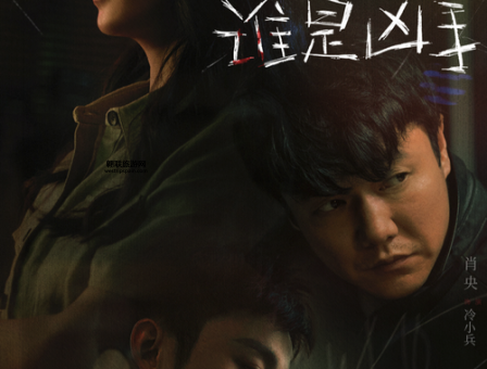 电视剧他是谁剧情介绍(  凶手是谁)