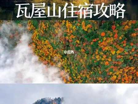 11月去哪里旅游好(赏秋叶还是泡温泉)