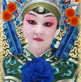 王华买父豫剧盛宴(讲了什么故事)