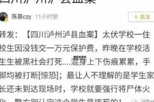 杨禹事件起因(是因为说话太官方了吗)