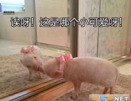 小宋二人转(你笑出猪叫了吗)