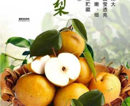 晚秋黄梨怎样种植(怎样才能种出高产果)