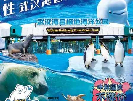 海昌极地海洋馆全攻略：畅游极地与海洋生物世界