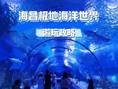 海昌极地海洋馆全攻略：畅游极地与海洋生物世界