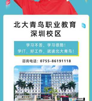 北大青鸟职业技术学院简介：优质IT职业教育的引领者