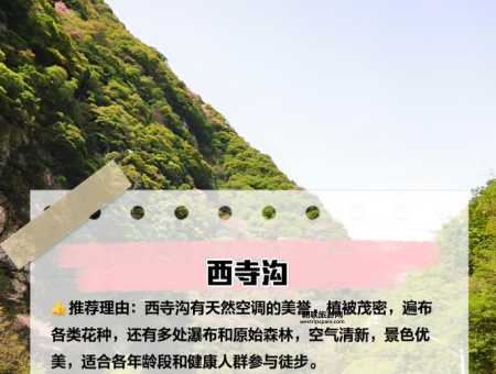 通天河国家森林公园攻略：探秘秦岭深处的自然奇观