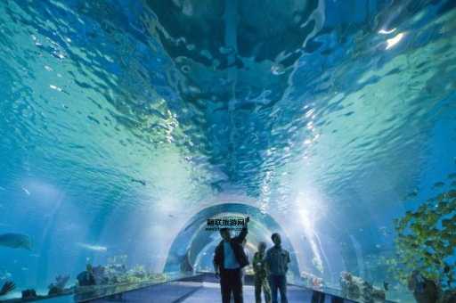 天津极地海洋馆在哪？滨海新区响螺湾旅游指南