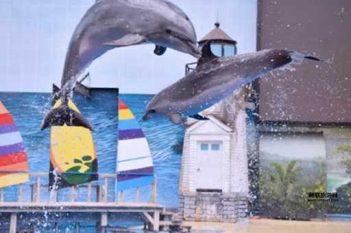 天津极地海洋馆在哪？滨海新区响螺湾旅游指南