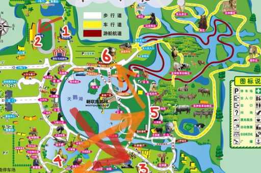 一日畅游上海野生动物园：最新攻略与实用贴士