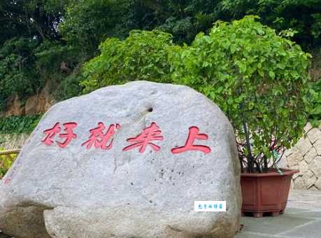 普陀山旅游网哪个好？这几个网站让你一目了然！