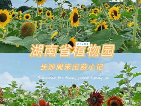 长沙植物园门票价格2023，省钱游玩看这里！