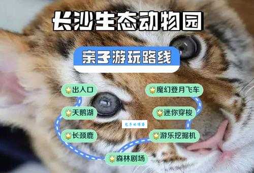 长沙生态动物园地址是啥？自驾和公交攻略来了！