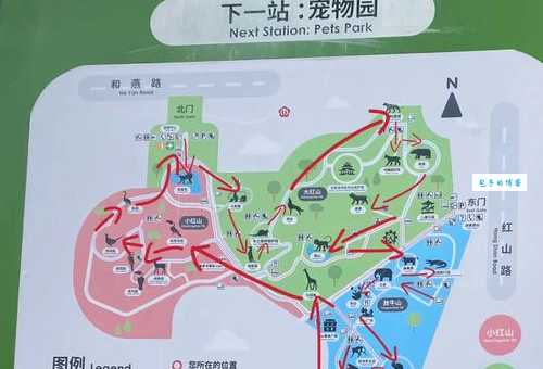 南京红山动物园门票预订攻略，提前买更省心！