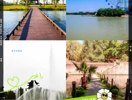 阜阳市旅游局管辖哪些景区？游玩路线规划！