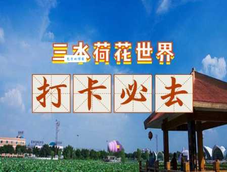 三水荷花世界几月份去好（这个时间去最合适）
