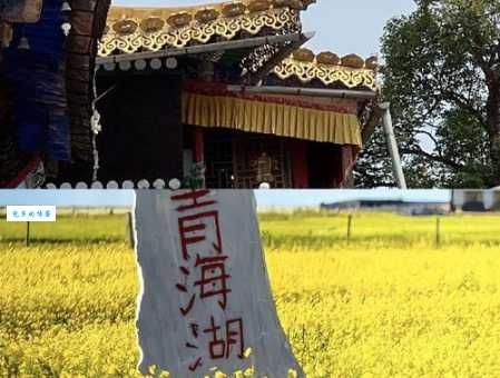 可可西里旅游怎么玩？资深驴友分享独家路线！
