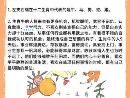 左支右绌是什么生肖(左支右绌又代表哪些生肖)