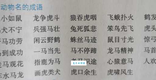九牛一毛是什么生肖(到底哪个动物最能体现九牛一毛)