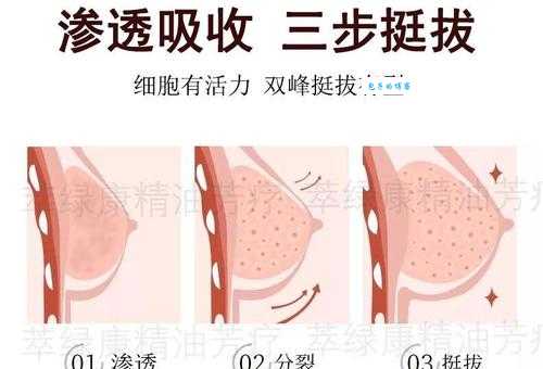 玫瑰精油丰胸有用吗？听听使用者怎么说！