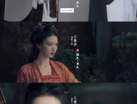 王楚然演过的电视剧都好绝，这几部我熬夜追！