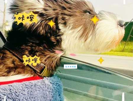 被风吹乱的爱情该怎么办？教你几招轻松应对！