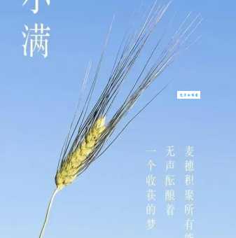 小满是几月几日？这个二十四节气的含义是什么？