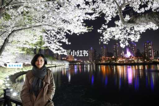 狎鸥亭韩国旅游网靠谱吗？真实体验告诉你答案！