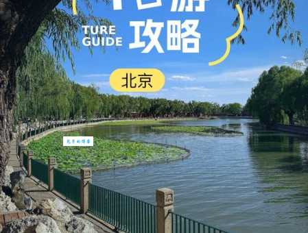 白洋淀自驾游超详细攻略：吃住行全搞定