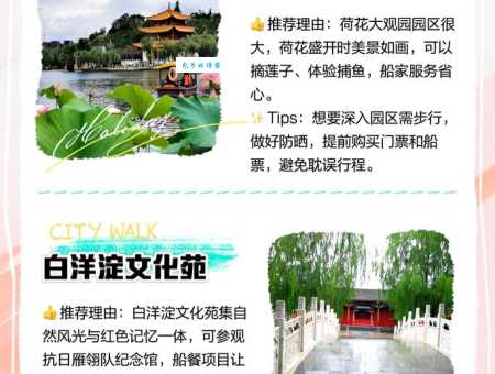 白洋淀自驾游超详细攻略：吃住行全搞定