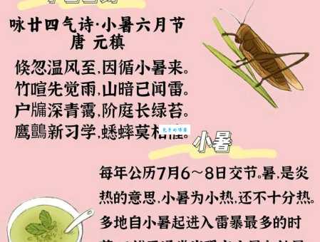小暑的含义和寓意是什么？深入了解小暑节气