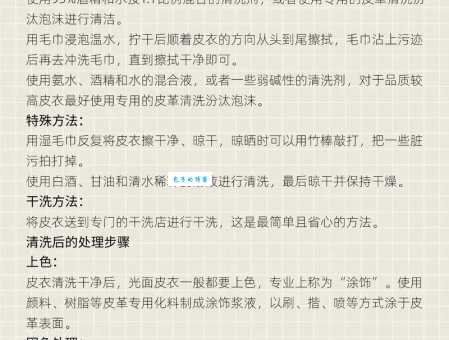 磨砂皮怎么清洗？老司机教你几个小窍门！