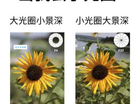光圈大小对照片的影响：大光圈和小光圈的优缺点对比