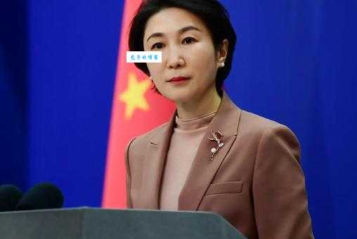 解密外交部发言人毛宁：个人资料及职业生涯全记录