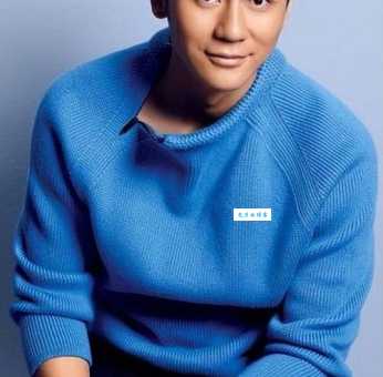 李晨个人资料介绍：演员、导演李晨的详细生平及作品