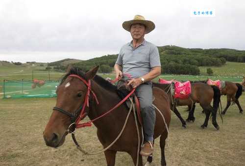 蔡葵个人资料：探秘著名翻译家、教育家的人生轨迹