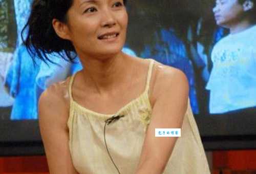 李婷个人资料详解：成就与人生历程回顾