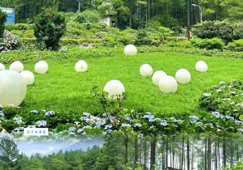 涪陵大木花谷门票价格及预订，避免排队等候