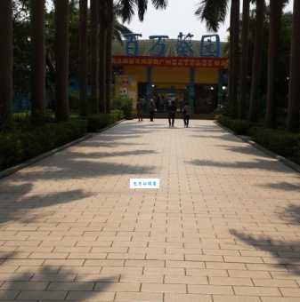 广州百万葵园究竟好不好玩？深度游玩体验分享