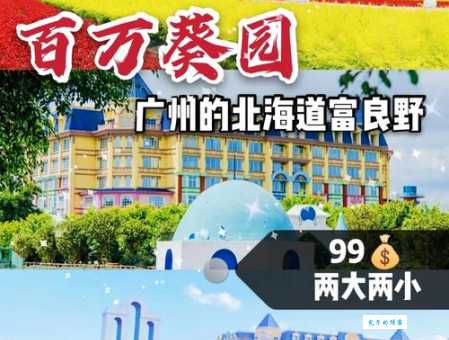 广州百万葵园究竟好不好玩？深度游玩体验分享