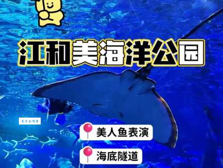 杭州海底世界门票价格及优惠：带孩子去更划算？