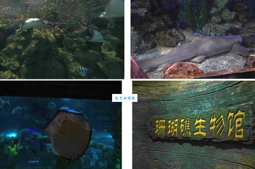 杭州海底世界门票价格及优惠：带孩子去更划算？