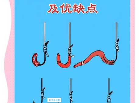 快速掌握红虫挂钩技巧：让你的鱼获翻倍增长