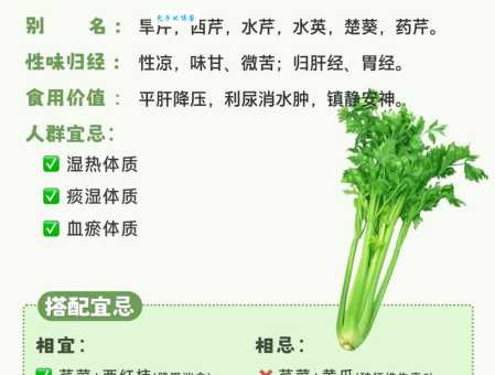 芹菜的功效与作用是什么？吃芹菜的禁忌有哪些？