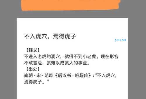 焉得虎子前面一句话是什么？解读成语的比喻含义和用法