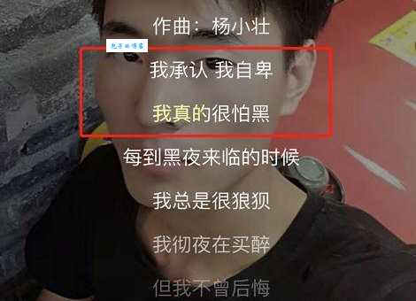 寻找孤芳自赏原唱？杨小壮版MV高清在线观看