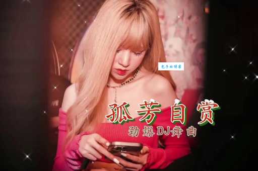 寻找孤芳自赏原唱？杨小壮版MV高清在线观看