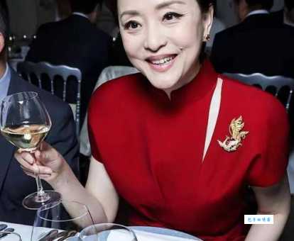 知性优雅杨澜：个人资料及影响力深度解读
