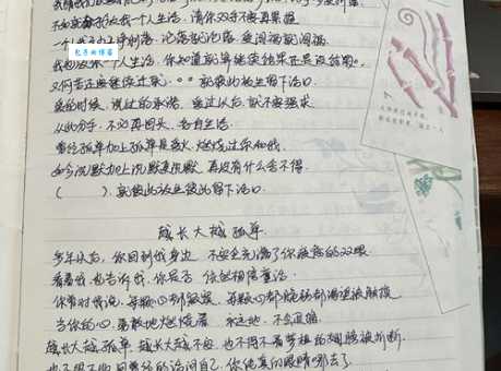 周笔畅笔记歌词完整版：青春回忆满满