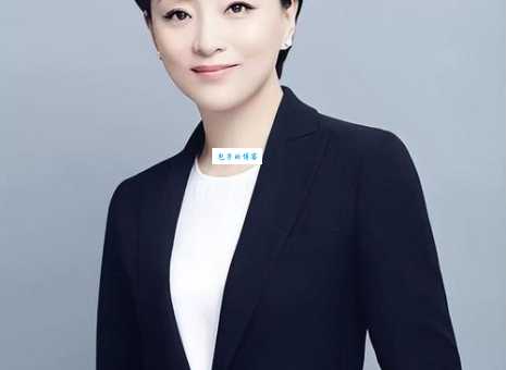杨澜资料简介：从央视主持人到商业女强人