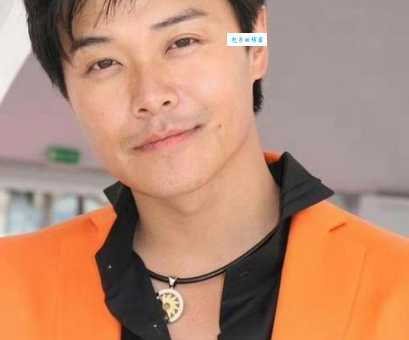 想了解陈思诚？这里有你想要的个人资料及详细作品介绍